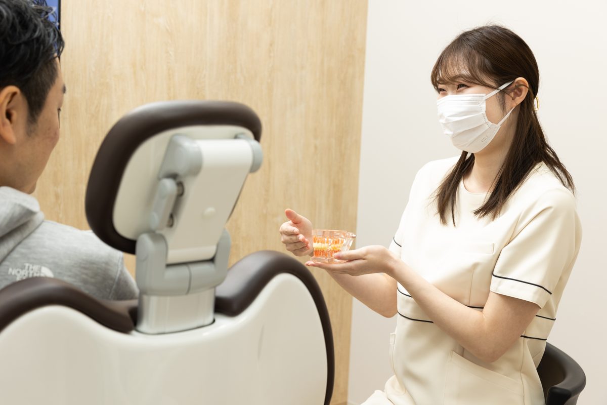 スタッフが歯列模型を使って説明する様子